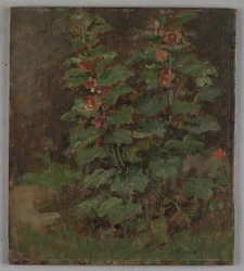 Flores